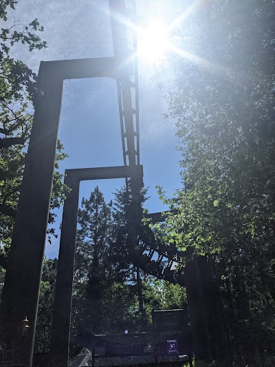 Wild Woods